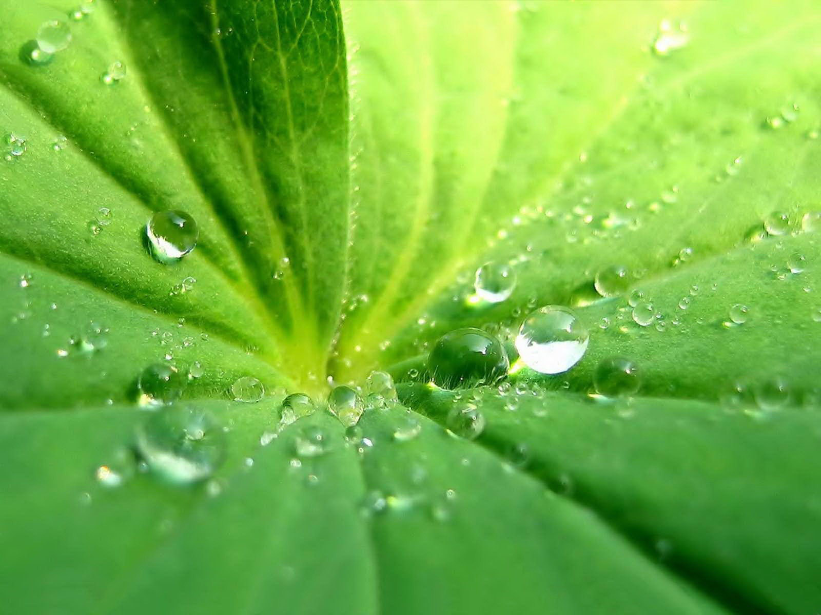 溫水煮青蛙的啟示