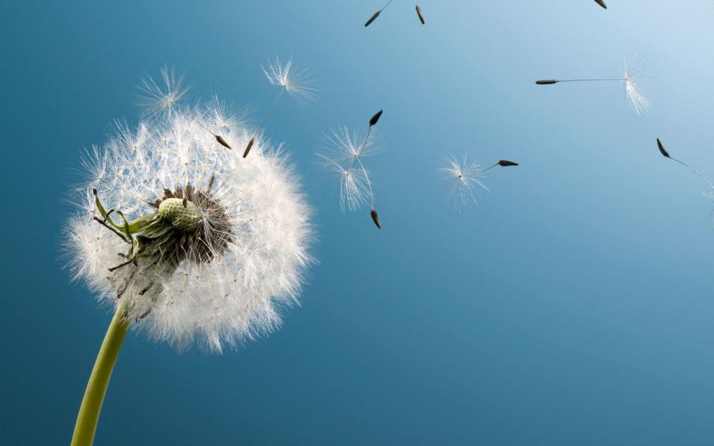 吃苦耐勞的重要性