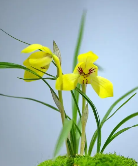 觀(guān)《天道輪回，善惡有報(bào)》有感